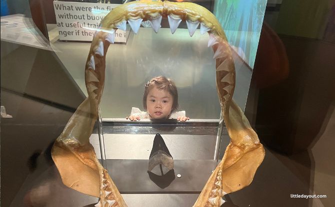 Join PAW Patrol On A Fun-Filled Museum Adventure At Lee Kong Chian Natural History Museum 2 Enter into Biodiversity Land, Get Upclose & Personal with Each Specimen & Skeleton