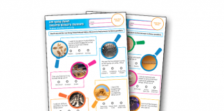 Lee Kong Chian Natural History Museum Activity Sheets