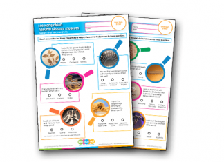 Lee Kong Chian Natural History Museum Activity Sheets