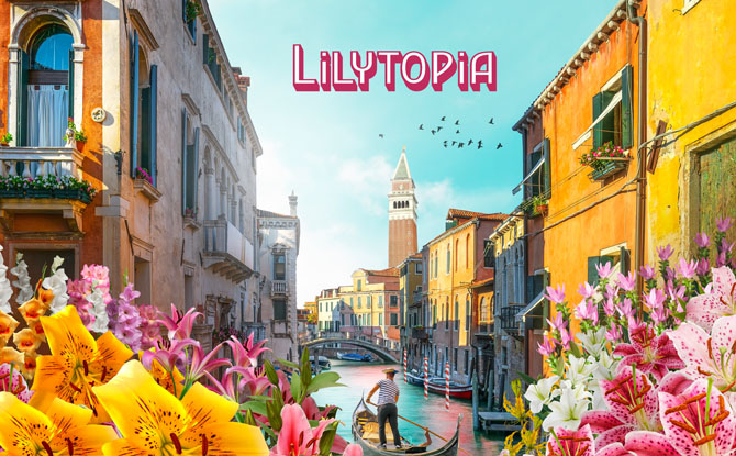 Lilytopia
