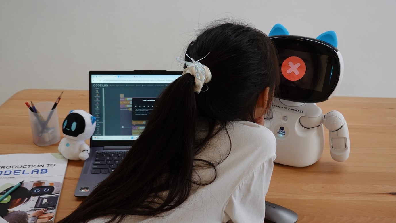 Lyza Education’s AI Coding Programmes