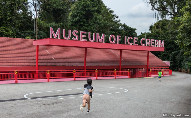 Museum of Ice Cream Review: What to Expect