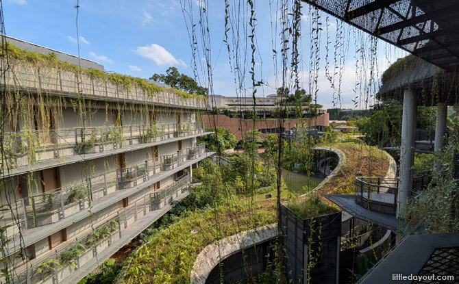 Mandai Rainforest Resort by Banyan Tree: Family Staycation Review 2 Mandai Rainforest Resort is Banyan Tree’s largest to date, with over 300 guestrooms and suites and 24 seed-pod shaped treehouses. T