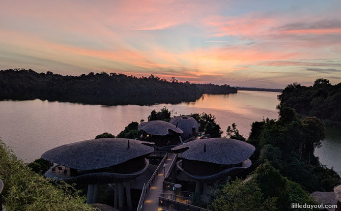 Mandai Rainforest Resort by Banyan Tree: Family Staycation Review 16 Discovery Garden