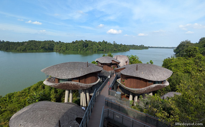 Mandai Rainforest Resort by Banyan Tree: Family Staycation Review 25 Biophilic Design – the Heart of Mandai Rainforest Resort by Banyan Tree