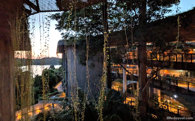 Mandai Rainforest Resort by Banyan Tree: Family Staycation Review 26 Guests can also see towering trees like the Rain Tree at the entrance and an Indian Beech tree retained in their original locations.