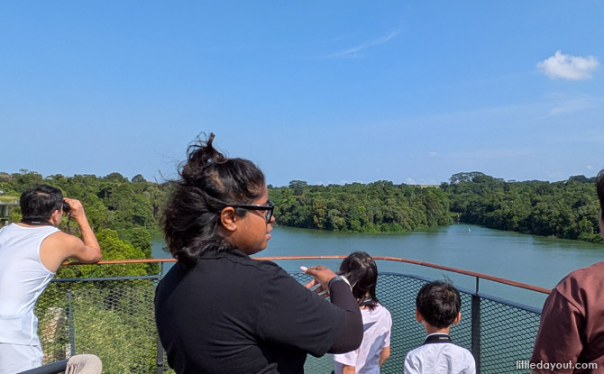 Mandai Rainforest Resort by Banyan Tree: Family Staycation Review 12 Nature Walks