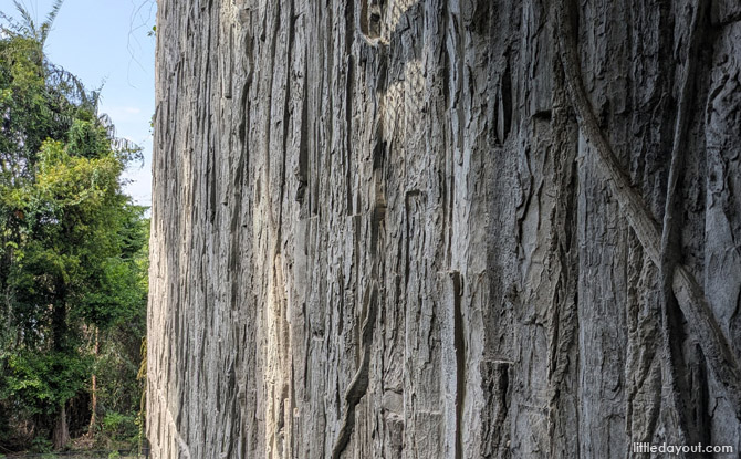 Mandai Rainforest Resort by Banyan Tree: Family Staycation Review 27 branches and vines of the wood imprinted onto the external surfaces of the buildings making them blend in seamlessly with their surroundings.