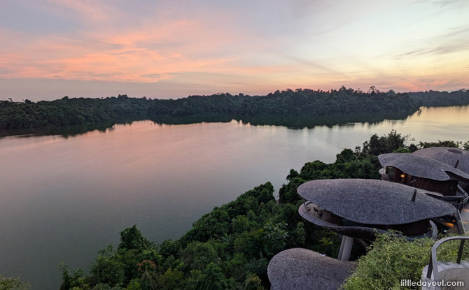 Mandai Rainforest Resort by Banyan Tree: Family Staycation Review 30 Our Review of Mandai Rainforest Resort by Banyan Tree