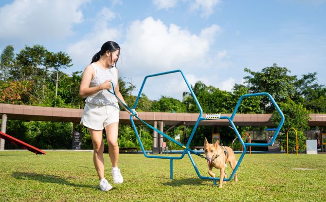 Celebrate Singapore’s 61st Birthday The Wild Way At Mandai Wildlife Reserve This August! 1 Wild Day Out 2026: Farmers’ Market & Hands-On Fun