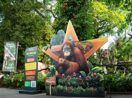 Celebrate Singapore’s 61st Birthday The Wild Way At Mandai Wildlife Reserve This August!