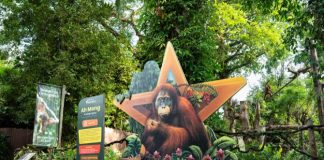 Celebrate Singapore’s 61st Birthday The Wild Way At Mandai Wildlife Reserve This August!