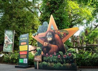 Celebrate Singapore’s 61st Birthday The Wild Way At Mandai Wildlife Reserve This August! Celebrate Singapore’s 61st Birthday The Wild Way At Mandai Wildlife Reserve This August!