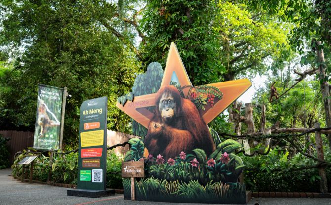 MWR National Day 3 Celebrate Singapore’s 61st Birthday The Wild Way At Mandai Wildlife Reserve This August!