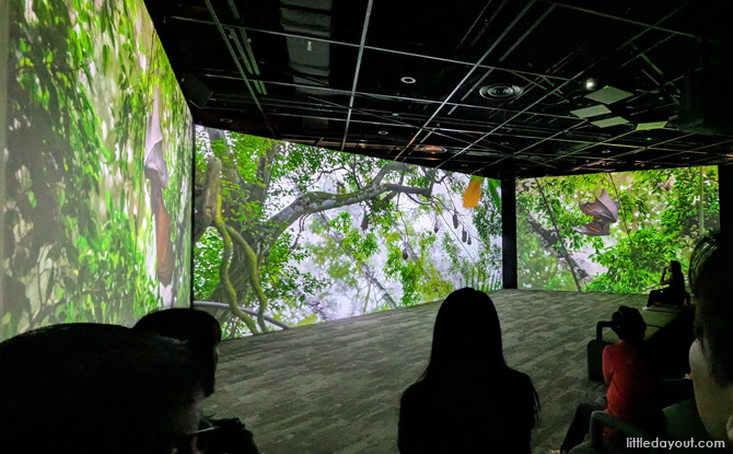 Multimedia Shows - 3 Segments to Watch