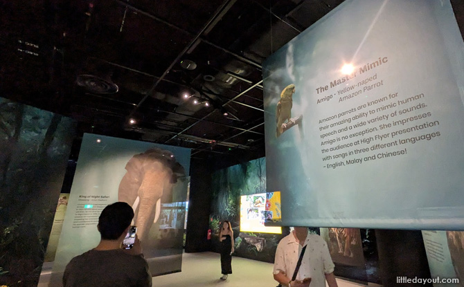 Main Characters of Mandai Wildlife Reserves