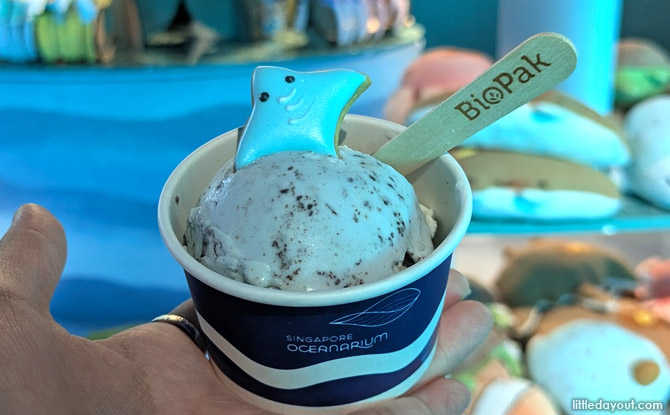 Manta Ray Animal Spotlight and Other Highlights for September School Holidays