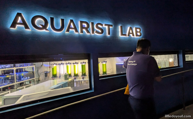 Feeding on Zooplankton