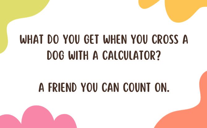 What do you get when you cross a dog with a calculator?