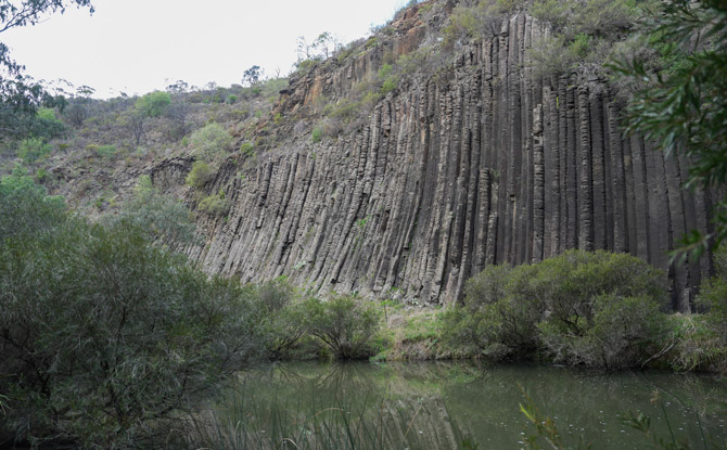 10D9N Melbourne Family Adventure: Nature, Wildlife & Snow 16 Farewell Melbourne
