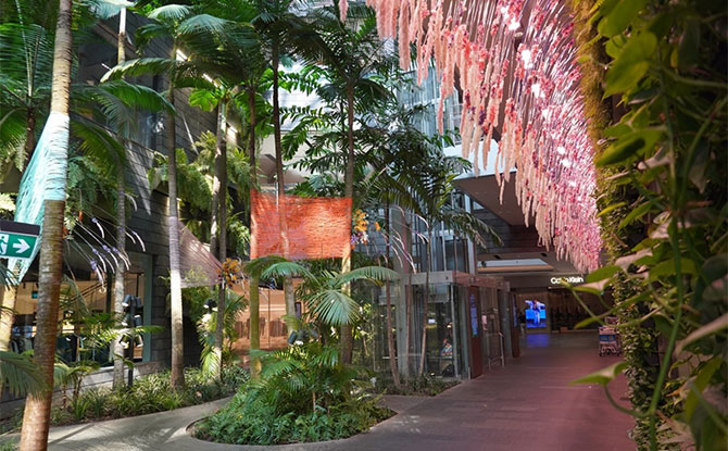 Jewel Blooms: Splendours of Singapore at Jewel