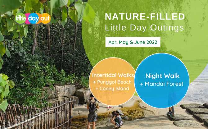 Nature-filled Little Day Outings Nature Walks Apr, May and June 2022