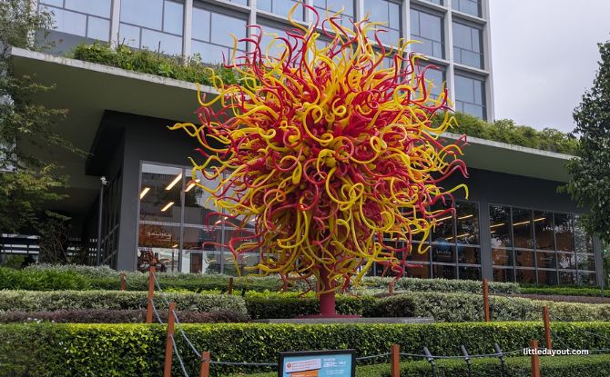 One Holland Village Art Trail: Discover Art To Unlock Exclusive Treats! 6 Dale Chihuly's Singapore Sun