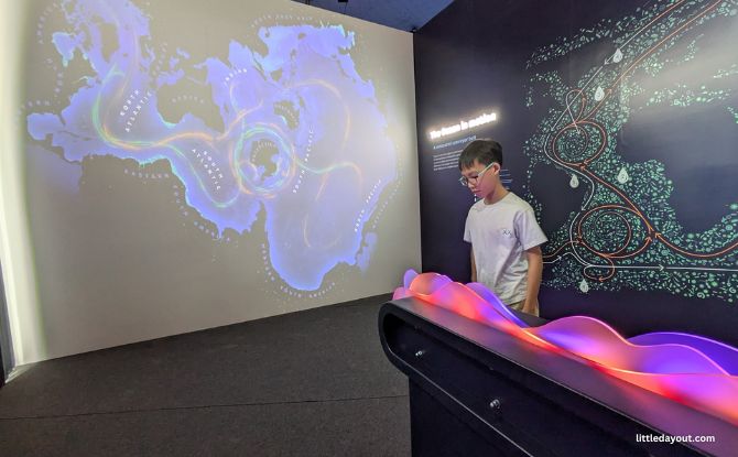 ONE Ocean: Every Action Ripples At Science Centre Singapore From 30 May 2026 to 3 January 2027 6 Ocean Currents Ever Flowing