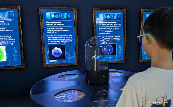 ONE Ocean: Every Action Ripples At Science Centre Singapore From 30 May 2026 to 3 January 2027 5 Microscopic Life: The Superheroes of the Ocean