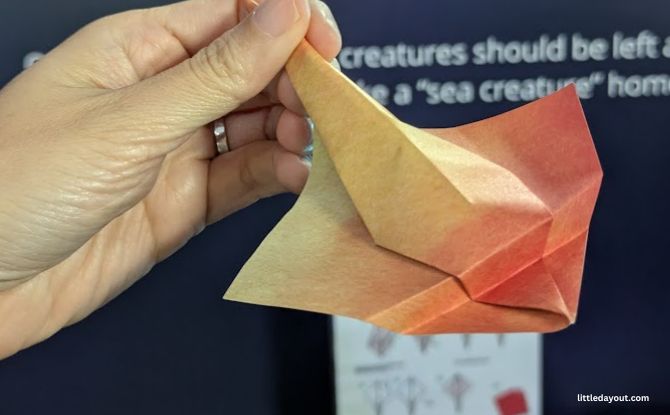 ONE Ocean: Every Action Ripples At Science Centre Singapore From 30 May 2026 to 3 January 2027 4 Families can also craft an origami Stingray to take home.