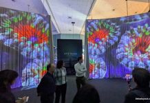 ONE Ocean: Every Action Ripples At Science Centre Singapore From 30 May 2026 to 3 January 2027