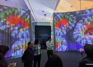 ONE Ocean: Every Action Ripples At Science Centre Singapore From 30 May 2026 to 3 January 2027 ONE Ocean Science Centre Singapore 6