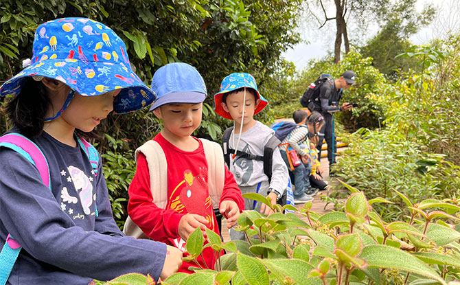 Outdoor School Singapore: Child-Led Adventures & Lessons In Nature