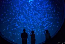 Things To Do This Weekend In Singapore: 31 October To 2 November 2025