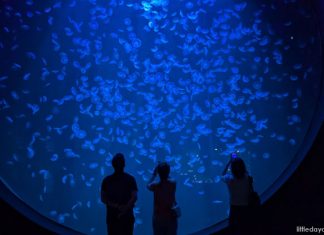 Things To Do This Weekend In Singapore: 31 October To 2 November 2025