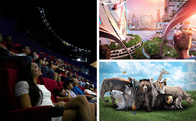 Looking for an experience that’s beyond the ordinary this June Holiday? Make your way down to the Omni-Theatre, where two new groundbreaking shows are set to capture your imagination – Cities of the Future and Animal Kingdom! Two New Shows at Omni-Theatre from 1 June It is always a thrill to catch a movie at the Omni-Theatre. Watching a show on its impressive 23-metre-wide dome screen, 8K digital screen – the only one of its kind in Singapore – is a treat for the senses. Now, you can treat the kids and family to two new, immersive experiences at Omni-Theatre during the holidays. Cities of the Future What will the world be like in 50 years’ time? How will our cities evolve and what will the sustainable future look like? Cities of the Future goes on a journey through the world’s greatest cities – from Amsterdam to Los Angeles and Singapore – to uncover what is being done to meet the challenges of a changing world and make the smart cities of the future possible. Plus, you will even get a glimpse of Singapore’s exciting vision for a more sustainable and connected future, featured in the film! Whether it is tapping into new renewable energy sources or revolutionising transport systems (think electric flying cars!), Cities of the Future provides a fascinating glimpse at how engineers are turning today’s science fiction into tomorrow’s reality. Animal Kingdom: A Tale of Six Families Animal Kingdom is a stunning exploration of what makes our natural world so spectacular, introducing young audiences to animals from all over the world. Journey across snowy forests, under the scorching African Sun, and into the darkest depths of the ocean to discover why animals are the way they are. The show also explores the ways in which we can help to protect the animal world. It is a show that will have animal-loving kids spellbound! SG60 Promotions: $6 Omni-Theatre Tickets & Special Bundles [insert 04] Need even more reasons to pay a visit to Omni-Theatre? From now to 31 December 2025, Science Centre Singapore is offering a special promo with tickets at just $6!* (usual price $14)! That’s more than 50% off the regular ticket price. There are also special SG60 bundle deals* available that provide admission to Science Centre Singapore and an Omni-Theatre show at: $10 for adults (usual price $19.90); and $8 per child (usual price $17.90). Families of four can save even more with the $24 Family Pack for two adults and two children that provides access to both Science Centre Singapore and Omni-Theatre. Make a Date to Watch an Omni-Theatre Show Soon! [insert 05] Don’t miss the chance to watch the two exciting new shows at Omni-Theatre! And make use of the SG60 promotions to enjoy even greater value and a wonderful day out! Find out more about the Cities of the World, Animal Kingdom and Omni-Theatre’s SG60 promotions. Omni-Theatre Offers $6 SG60 Promo Tickets & 2 Exciting New Movies Your Family Will Love!