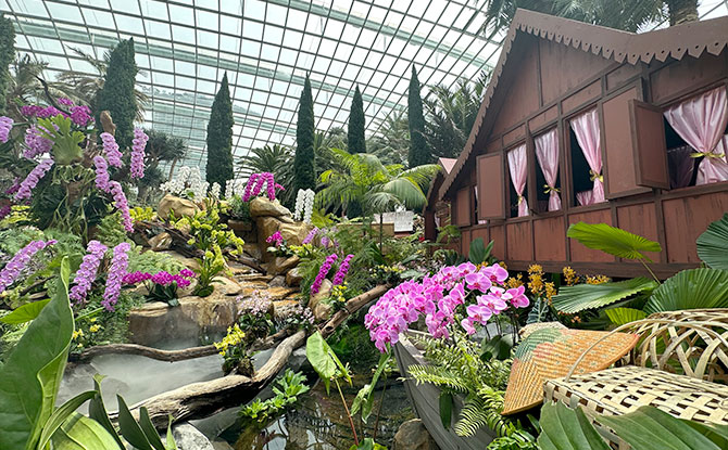 Orchid Extravaganza 2023: Orchids of the East Tropics With Recreation Of Traditional Houses