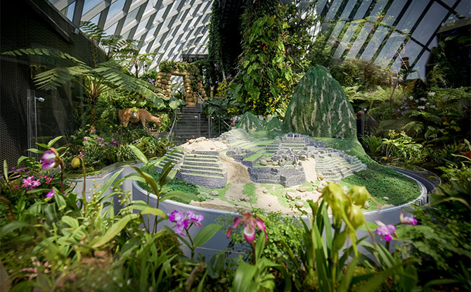 Orchids Of Machu Picchu at Cloud Forest