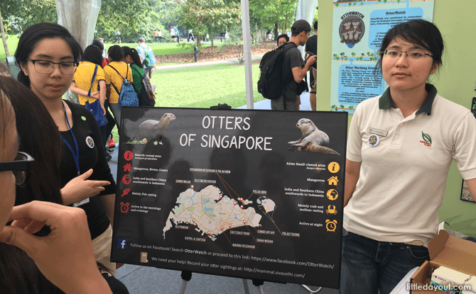 OtterWatch Booth, Festival of Biodiversity 2016