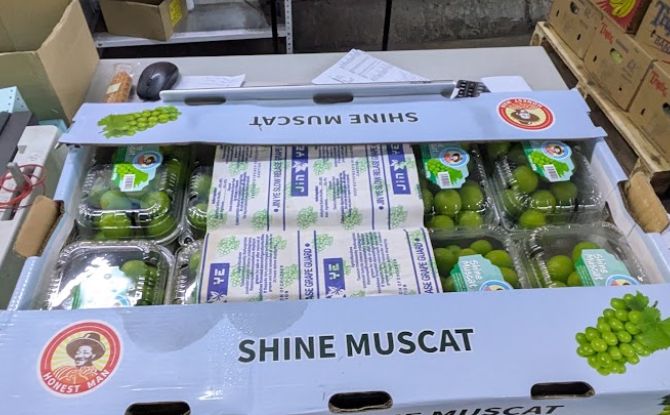 Guide To Pasir Panjang Wholesale Market 6 muscat grapes Pasir Panjang