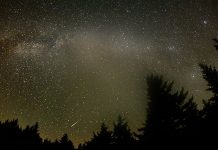 Perseids Meteor Shower: Interesting Facts That You Should Know