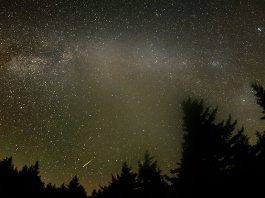Perseids Meteor Shower: Interesting Facts That You Should Know
