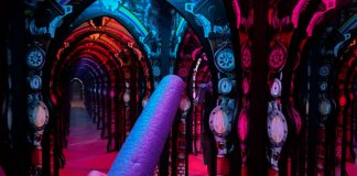 Professor Crackitt's Light Fantastic Mirror Maze At Science Centre Singapore