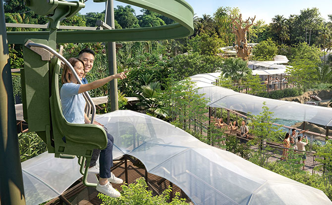Rainforest Wild Adventure Phase 2 Opens 20 May 2026; Star Animal Is the Elusive Okapi 5 Adventure+ at Rainforest Wild Adventure East