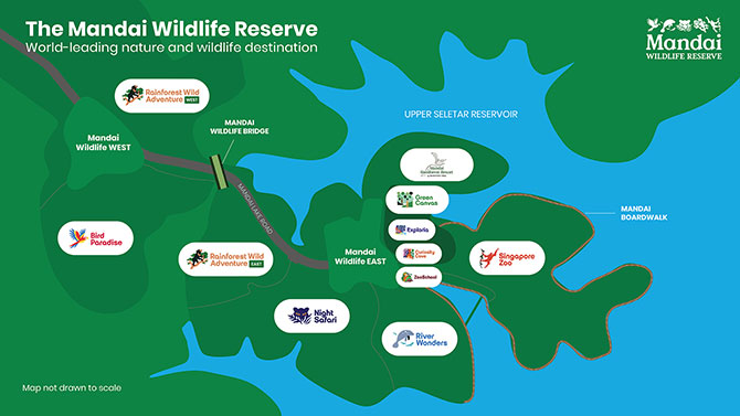 Rainforest Wild Adventure Phase 2 Opens 20 May 2026; Star Animal Is the Elusive Okapi 2 Rainforest Wild Adventure West (formerly known as Rainforest Wild Asia) and Rainforest Wild Adventure East