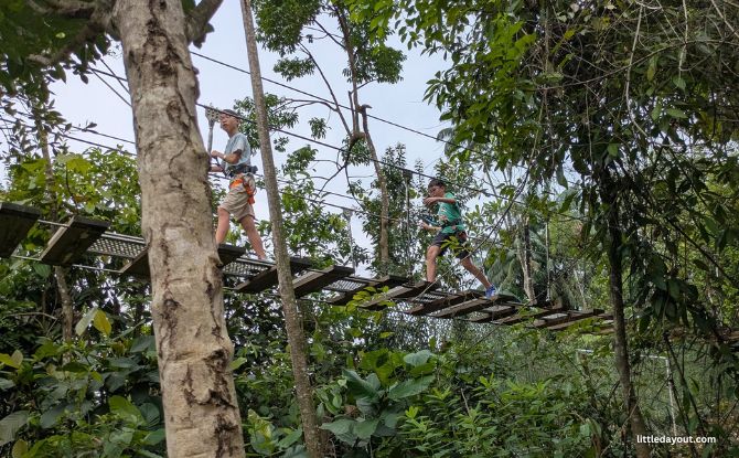 Rainforest Wild Adventure Guide: Blending 9 Adventure Experiences With Animal Encounters 3 We would definitely recommend Rainforest Wild Adventure for families with older kids, teens and adrenaline-seekers.
