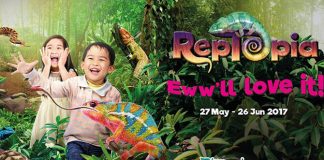 RepTopia Singapore Zoo River Safari