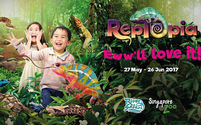 RepTopia Singapore Zoo River Safari