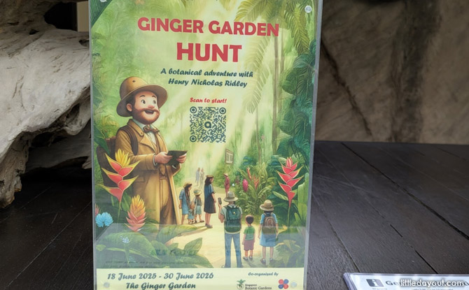 Kid-Friendly Guide to Singapore Botanic Gardens 13 Ginger Garden Hunt