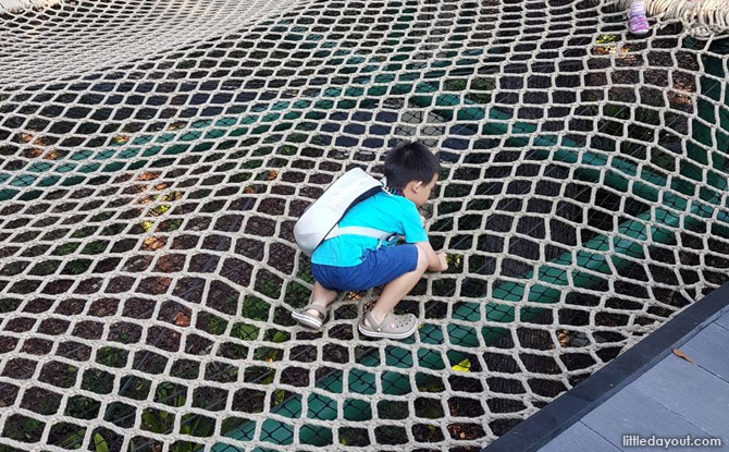 Kid-Friendly Guide to Singapore Botanic Gardens 15 SBG Tyersall 01